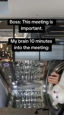 All the time... #fyp #foryoupage #memestiktok #corporate #manager 