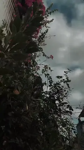 تمنيت لو انني أستطيع مغادرة أفكاري … لكنها طيف لا يفارقني مهما حاولت الابتعاد، تتنقل بين أروقة قلبي كظل لا يرحل، تحمل لي ألم الماضي وحنينا لا ينتهي، لكن مع مرور الوقت تعلمت أن أحتضنها برقة، وأصغي لصمتها الذي يخبرني عن قوة لم أكن أعرفها، في دفء الذكريات أجد بصيص أمل يضيء طريقي، ويرسم لي مستقبلا رغم كل ما مضى، فحتى الأفكار التي تؤلمنا قد تحمل في طياتها بذور الشفاء والنمو🥺🥺🥺