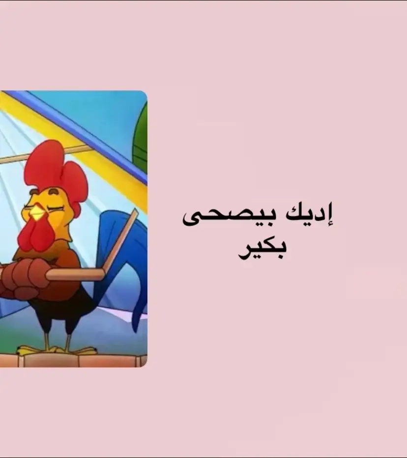 #طيور_الجنة #طيور_بيبي #ذكريات_الزمن_الجميل #fyp #إديك 