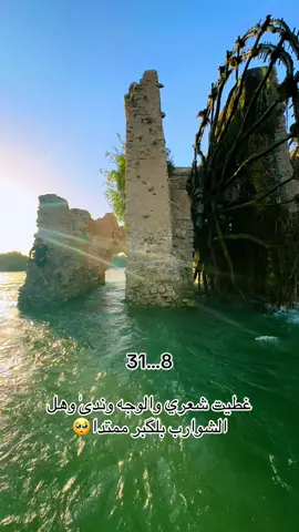 #اكسبلورexplore #تصويري📸اكسبلوور #fypシ゚viral #viralvideo #foryou 