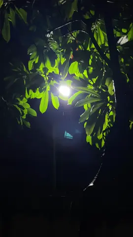 Mentahan ngab #stroy26 #mentahanvidio #mentahanvideo #mentahan 