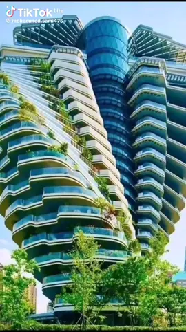 دعــم الـحـســابـات.  فضلاً تابع حسابي لوتكرمت اردها فوراً My brother/sister: Please support me by following my account.Activate my account please