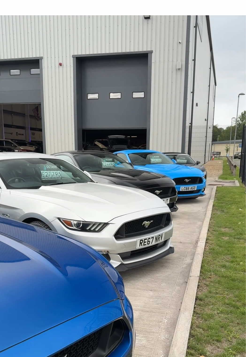 Mustang line up 😍🤠  Drop us a DM if you are looking for a Ford Mustang Gt Fastback - all of ours are V8 and we have a mixture of auto & manual! #fordmustang #aceprestigeautos 