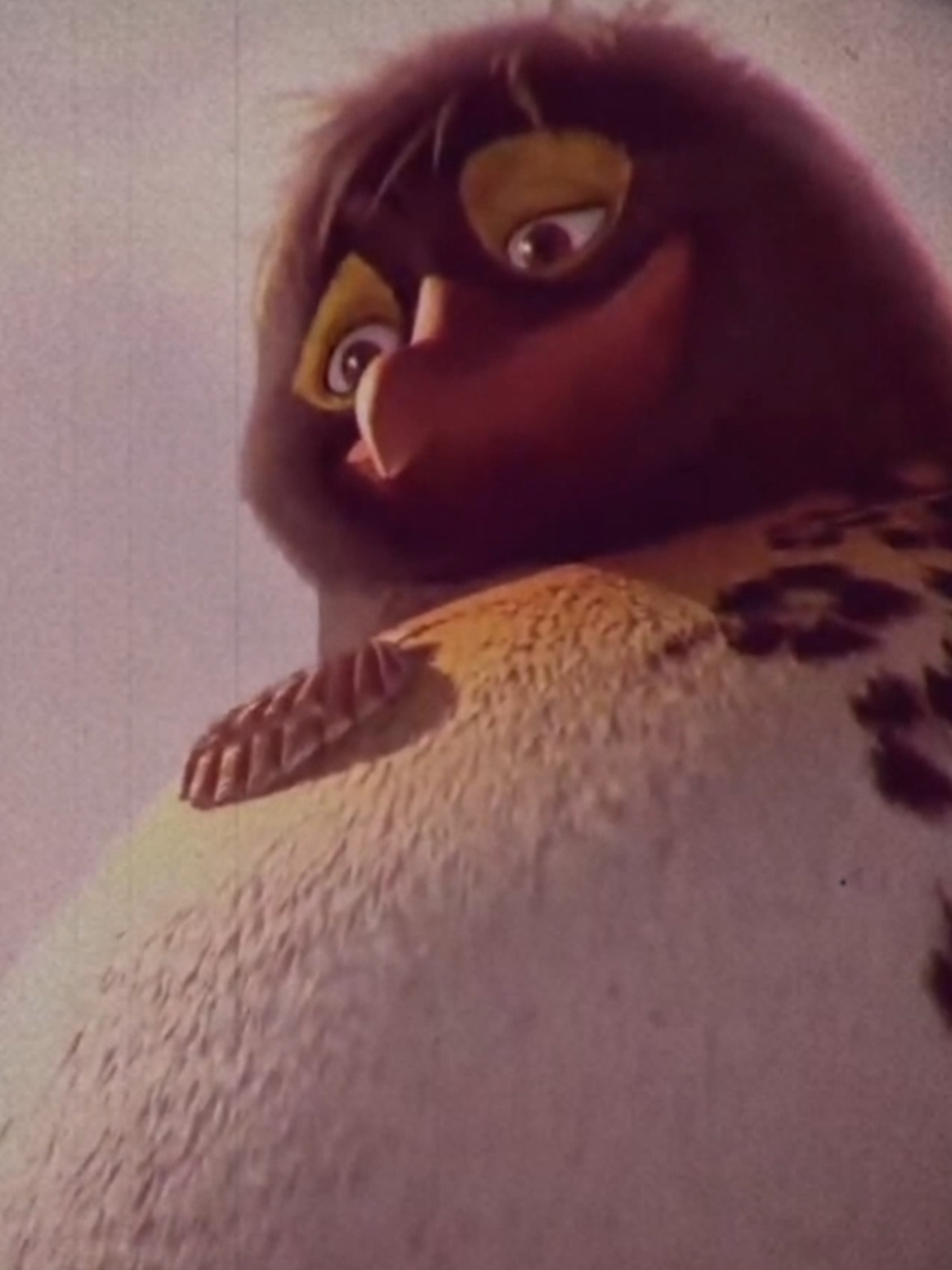 Tá Dando Onda | Need 2 - Pinegrove - #edit #tadandoonda #bigz #cadumaverick