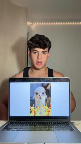 llama para la racha 🦙 