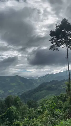 ⛰️🍀🌳✨#น่าน #สะปัน #สะปันน่าน #น่านเนิบเนิบ #ถนนลอยฟ้า #