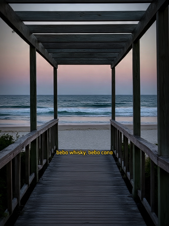 O meu jeito é assim #forrozeiroz #pisadinhadovaqueiro 