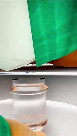 You should be saving your poop 💩 #zackdfilms #fyp 