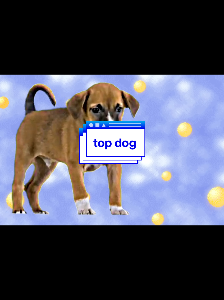Magdalena Bay - Top Dog (2023) Couldn't stop listening to this duo when I first found them. I heard Secrets (Your Fire) and had to check everything else out. I really enjoy their mini mix series. 💙 #magdalenabay 