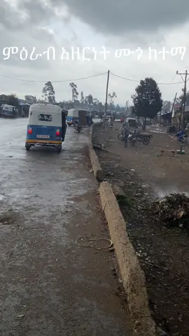 #ሙጎከተማ #ስልጤነት_ይላምልም👌 #tiktokforyou 