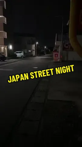 JAPAN STREET AT NIGHT