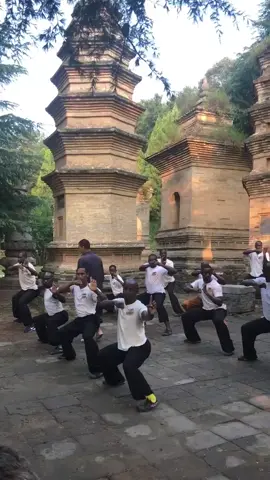 少林寺 #olebrandselect #TikTok #少林 