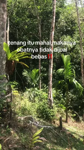 #fyp #porbi_sumbar #porbimarenten #porbiindonesia #porbi 