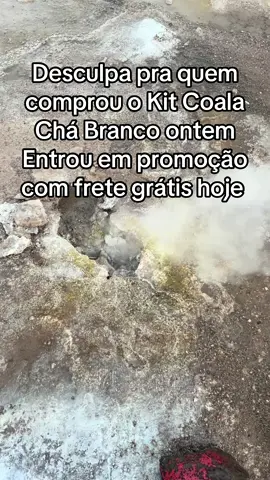 #coalachabranco #coala #dicas_utilidades #dicasdecasa #tiktokshop 