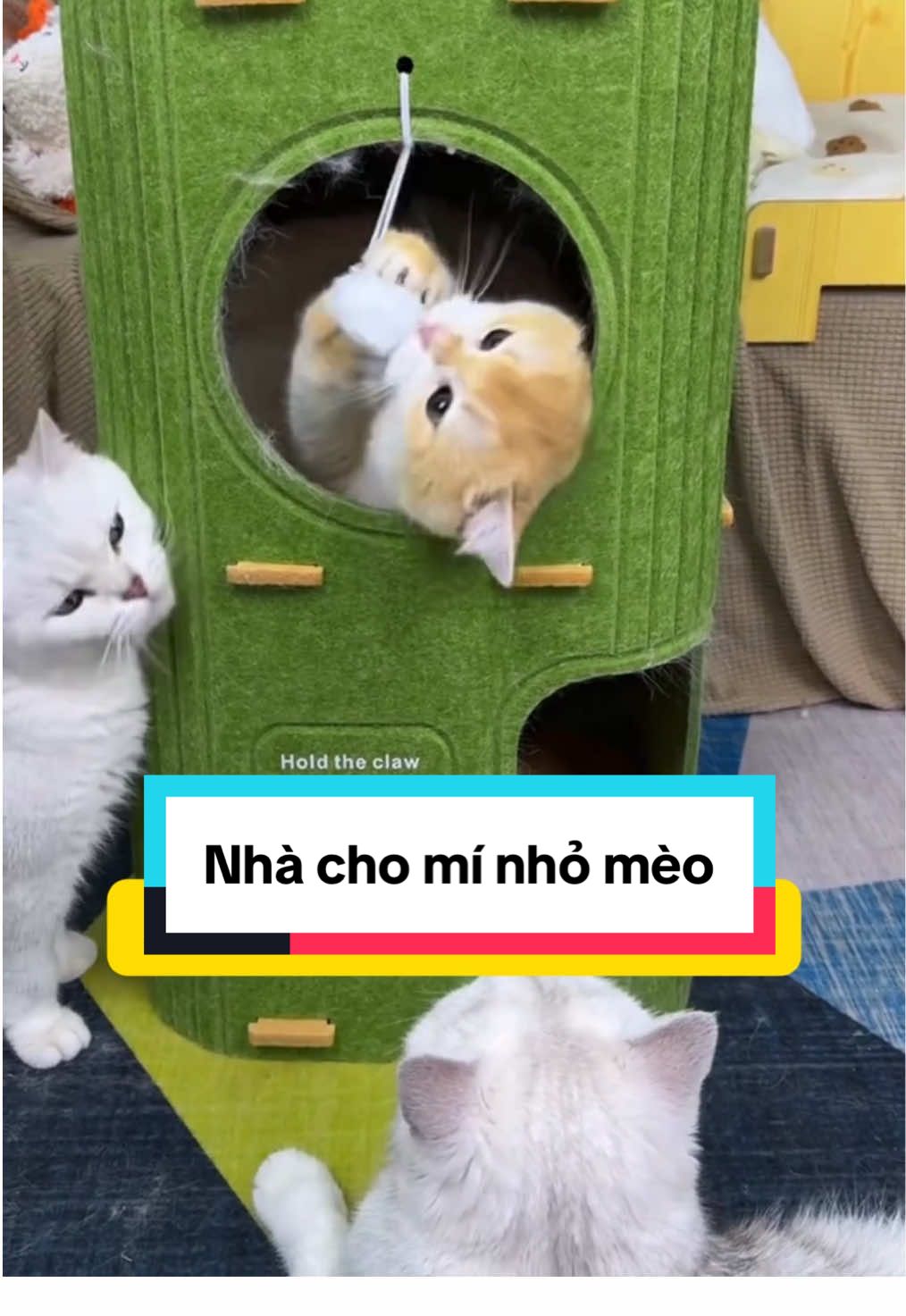 Trông bé bé mà công dụng được phết haa 🫰🏻  #pet #pets #PetsOfTikTok #cat #cats #catsoftiktok #cattree #chamsocthucung #lovelycat #thucung #petshop #petcare 