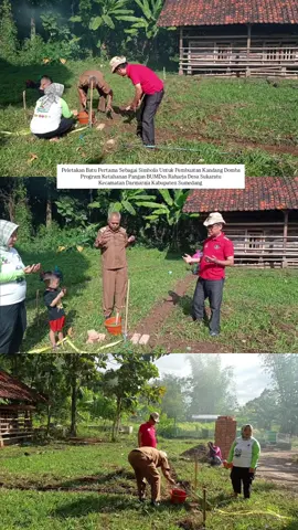 Peletakan Batu Pertama Oleh Bapak Kepala Desa Sebagai Simbolis Untuk Pembuatan Kandang Domba Program Ketahanan Pangan BUMDes Raharja Desa Sukaratu Kecamatan Darmaraja Kabupaten Sumedang. Follow Us ⤵️ Instagram : @bumdes_raharja #fyp #ketahananpangan #sumedang #jawabarat #bumdesraharja #desasukaratu