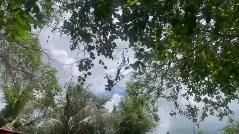 cao 1 🔥#cao1#caiduocnho🔥