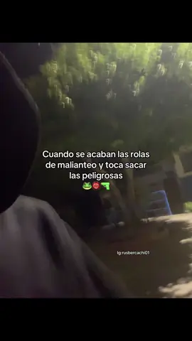 #chacalonerosypunto #chacalonjr #chichaperuana #chichaperuana #🇵🇪 