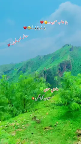 #باباطالب_حسین_درد❤️🥀💔 #جوگ_دا_شہنشاہ_جوگ_دا_شہنشاہ #foryou #foryoupageofficiall #fypage #ftypシ @👑 زوہیب اقبال اعوانڑ 👑 @🦅ملک عامر سلطان اوگالی الہ✌ @Malik Afzal awan @💲🅰️Fdar_ @Malik—Mubashar @ملک آ صف اعوان جوھرآباد 