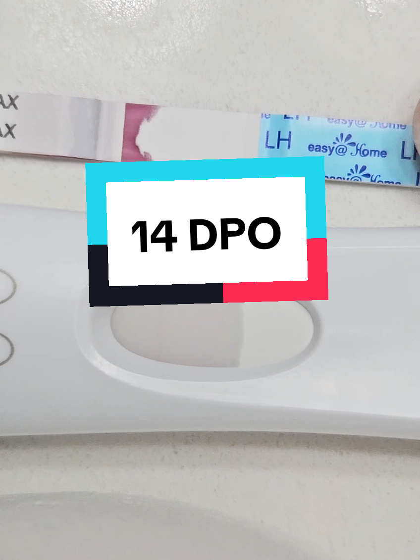 Previously Recorded! 14 DPO! Lines are looking pretty equal here 🙌 I cant imagine waiting this long (TWW) to test, but I guess it makes sense with the lines being very strong at this point. 🤷‍♀️ #14DPO #Pregnancytest #pregnant #ttc #ttcbaby2 #baby2 #FRER #easyathome #lineprogression #tww 