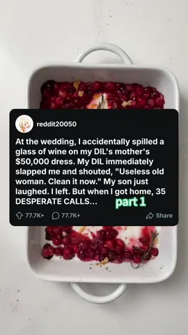 At the wedding, I accidentally spilled a glass of wine on my DIL's mother's $50,000 dress. My DIL immediately slapped me and shouted, 