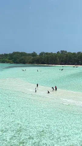 Pulau dengan ciri khas pasir putihnya🥽🌴😍🌊 Join trip with@gotripkarimun Open Trip I Private | Group contact us: 0813-2826-2703 #karimunjawa #karimunjawaisland #exploreindonesia #explorejepara #vacation #liburan #gotripkarimun #pesonaindonesia#karimunpaket