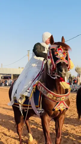 اللـــّه يبـارك ❤️🐎#عدسة_حسن_ابوشوفة📷🥇 #تبارك_الله #خيل_وخياله🐎  @مفتاح الدرسي100  @مفتاح الدرسي100 