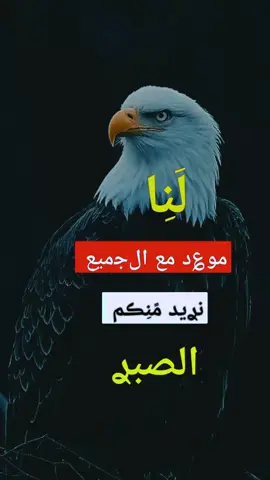 #🤫🤫🦅🦅🤫🤫🇪🇬✨☝🏻 