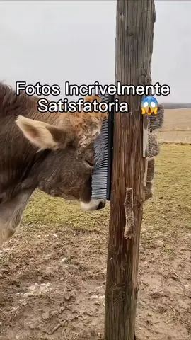 #asmr #nostalgia #relaxing #ansiedad 