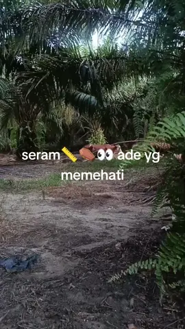 lemah semagat jgn tegok😮‍💨🍃 #fyppppppppppppppppppppppp #fypシ゚viral #lembusadomalaysia 