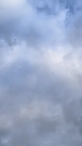 Perhatikan Tehnik Empok Mereng pakai tehnik ini dijamin motong #layangan #layanganputus #layanganadu #kelayangpontianak #layanganviral #tiktok #fyp 