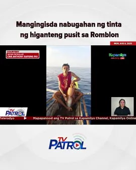 Mangingisda nabugahan ng tinta ng higanteng pusit sa Romblon #TVPATROL #Reels