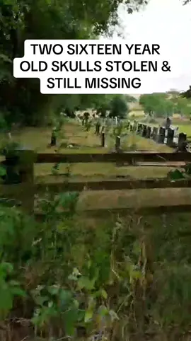 Two sixteen year old boys skulls stolen from a graveyard in Darlington are still missing. After watching videos which later appeared on YouTube with one defending others actions for stealing the skulls can only be described barbaric. The skulls were stolen due to a travelers ( family feud ) many are now wondering if the skulls are being kept to be handed into police for brownie points ? .. many wondering if maybe bankers are keeping them safe .. #thechew #eggchappo #darlington #skulls #stolen #humbledryerlatest 