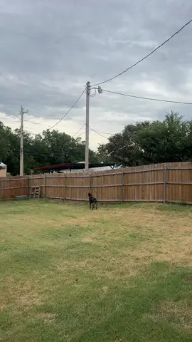 #gsp