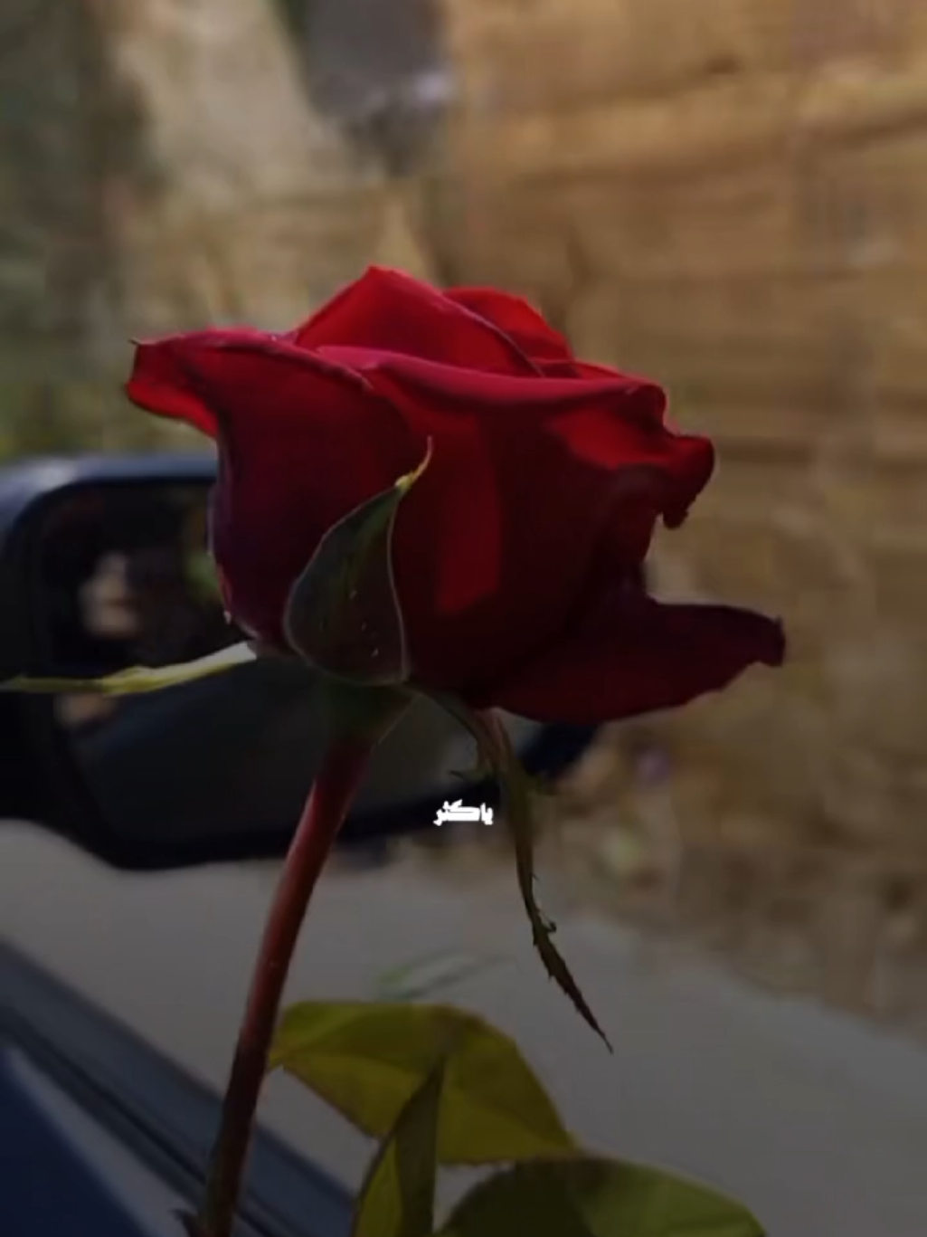 يا كثر حبك فقلبي ❤️ #منشن #اكسبلور #ترند #viral #تصميم_فيديوهات🎶🎤🎬 #lavendr81 #CapCut 