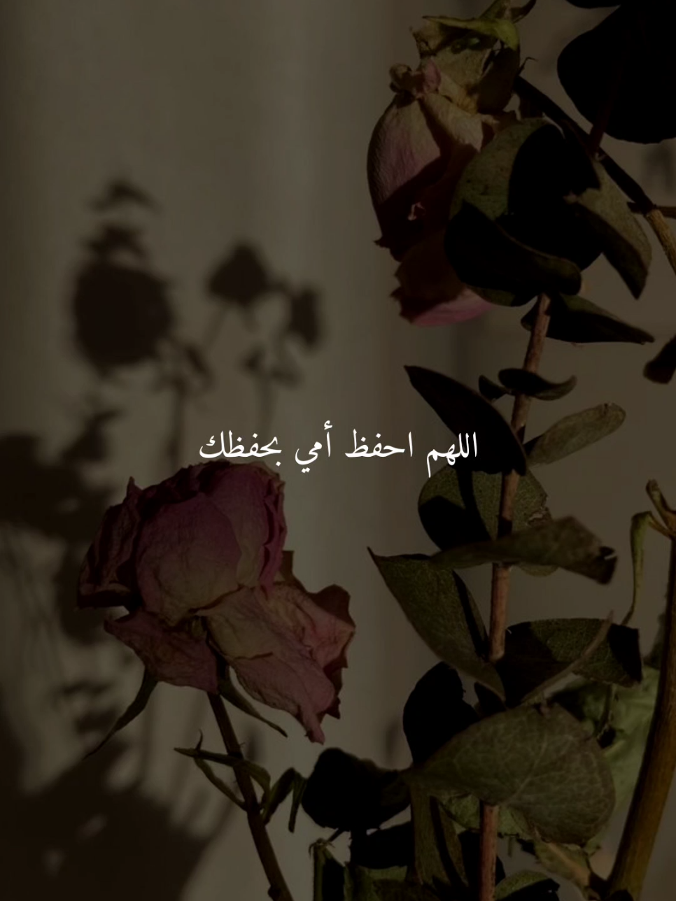 اللهم احفظ امي بحفظك..🤎 #اللهم_امين #ادعيه #ادعية_اسلامية_تريح_القلب #ادعيه_تريح_القلب #اكسبلور 