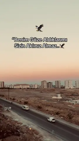 STORY 🦅#storylikvideolar📌 #duygusalvideolar #fypシ゚ #raconsözler #ağırsözler 