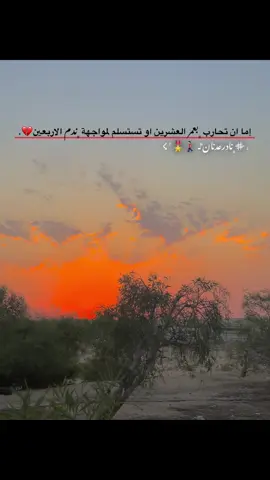 إما ان تحارب ﮼بعمر العشرين او تستسلم لمواجهة ﮼ندم الاربعين💔.#مالي_خلق_احط_هاشتاقات🧢 