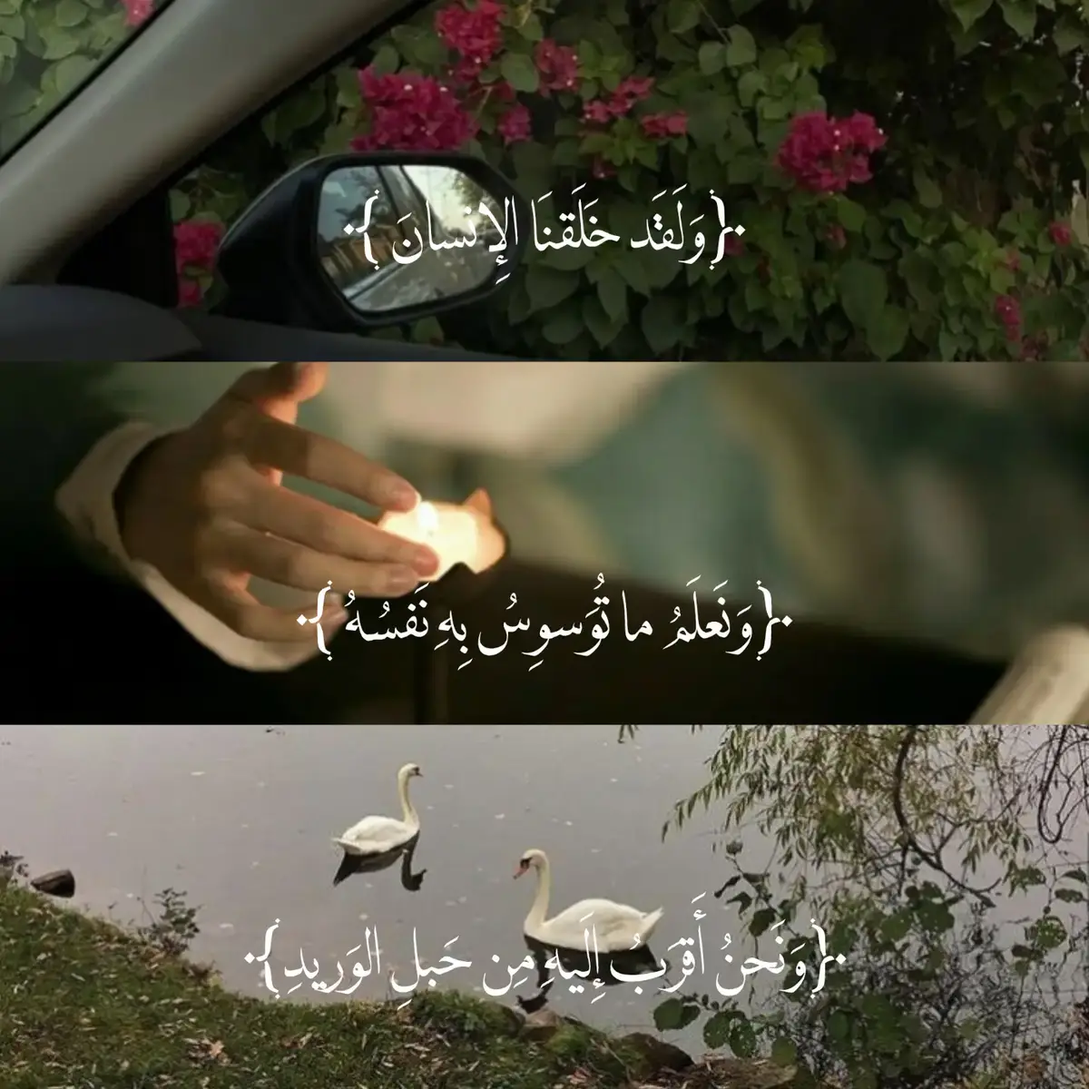 #حيدر_محسن_البزوني #قران_كريم #قرآن 