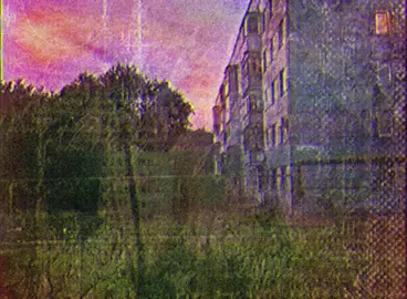 #щенки #whosyourdaddy #song #fyp #for #you #tiktok #☔ 