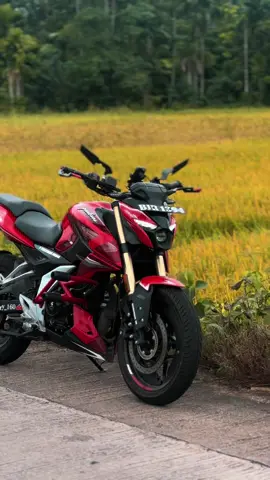 මගේ පෙමිබරි ❤️✨🍒 #N160primiumred#N160primium #N160Famliy #srilankan_tik_tok🇱🇰 #n160pulsar🏍️ #BJR1394 