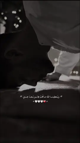 #انا_وجدناه_صابرا_نعم_العبد_انه_اواب #سورة_ص_بصوت_جميل🎧🎤⚘🌹 #ماهر_المعيقلي #تلاوة_القرآن_بصوت_رائع_جدا #ارح_قلبك_المتعب_قليلاً🤍💫 #قران_كريم_راحة_نفسية #CapCut 