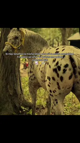 #fpy #viralvideo #rancho #ganaderia #ford #money #corridostumbados #corridoschingones 