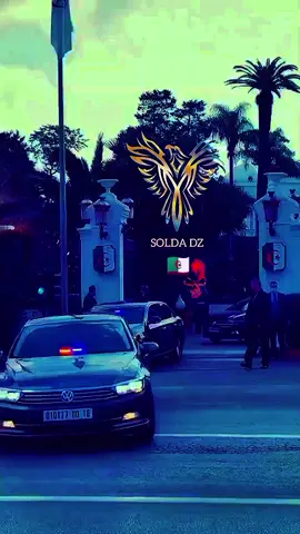 صقور الدولة الجزائرية🪽☠️🇩🇿 @صقور الدولة الجزائرية 🪽☠️🇩🇿 