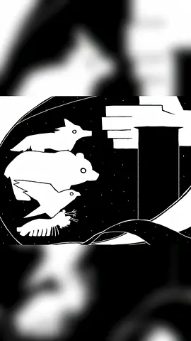 The Most Dangerous Animals #animals #fyp #funny