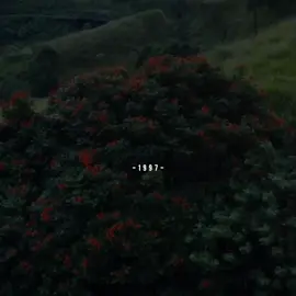 මේක අහද්දි ඔයාලට දැනෙන හැගීම් comment කරගෙන යන් ❤️‍🩹 #foryou #foryoupage❤️❤️ #fyp #demodara #lovestory #fyppppppppppppppppppppppp #10k #likes #statusvideo #suneerasumanga #suneerasumangasong @suneerasumanga 