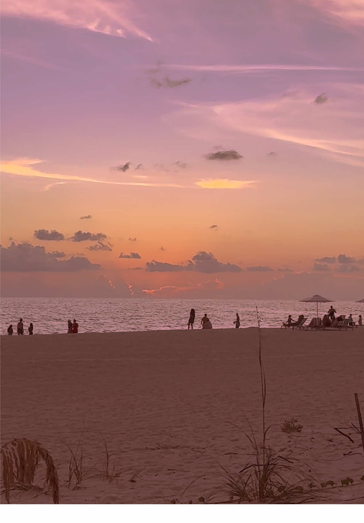 FL sunsets 😍 #beach #floridalife #floridagirl #fyp #comewithme 