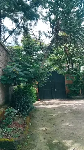 አጨፋፈር  😁😜 @Nazu nazu 