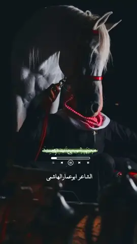 شليت قلبي معك وابطيب #جديد #المنشدابوعمارالهاشمي #2026worldcup #اليمن_صنعاء_تعز_اب_ذمار_عدن_وطن_واحد #اشعار_حزن_شوق_عتاب_حب 