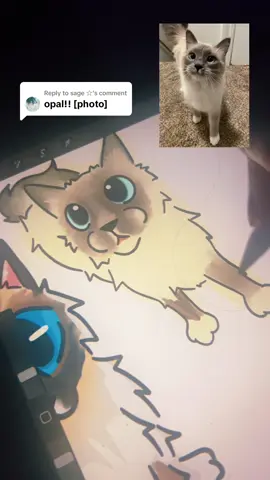 Replying to @sage ☆ Opal is so cuteeeee ugh! Hope you love the drawing! Make sure to follow if you want your meow to be included! #cat #cats #drawing #fyp #viral 